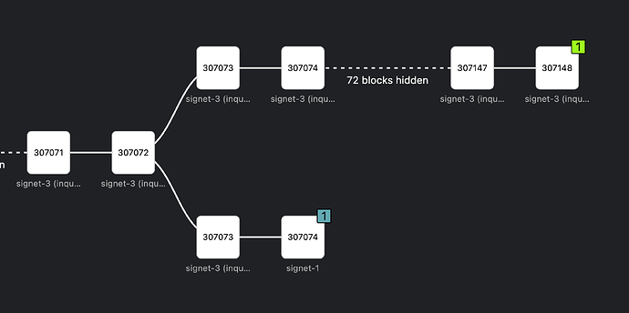 two block reorg on signet at theight 307073